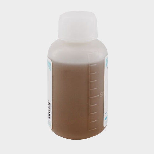 Proline Specific Endoprotease