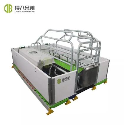 Unveiling the Contrasts: European vs. Conventional Farrowing Crates for Sow Comfort and Piglet Safety