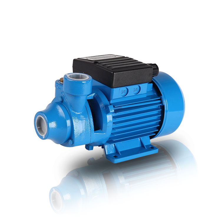 Exploring the World of Electrical Peripheral Water Pumps