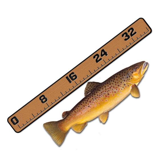 How to Choose the Best EVA Fish Ruler for Your Fishing Adventures
