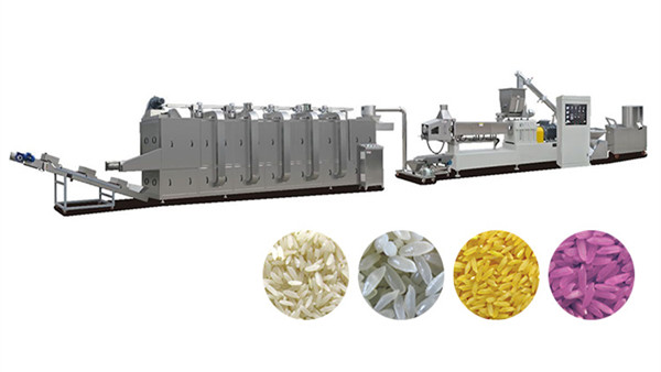 China Artificial Rice Processing Line: Pioneering Nutritious and Sustainable Food Solutions